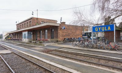 A teljes épületszerkezeti és funkcionális megújítás mellett energetikai fejlesztések, modern utastájékoztatási rendszerek, valamint környezetrendezés is megvalósulhat.